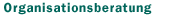 organisationsberatung