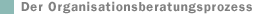 Organisationberatungsprozess